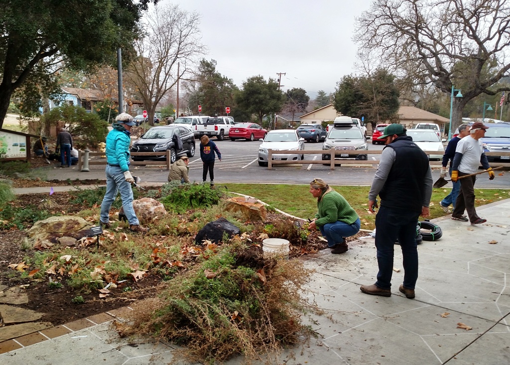 Volunteers planting and cleaning up the Native Garden!