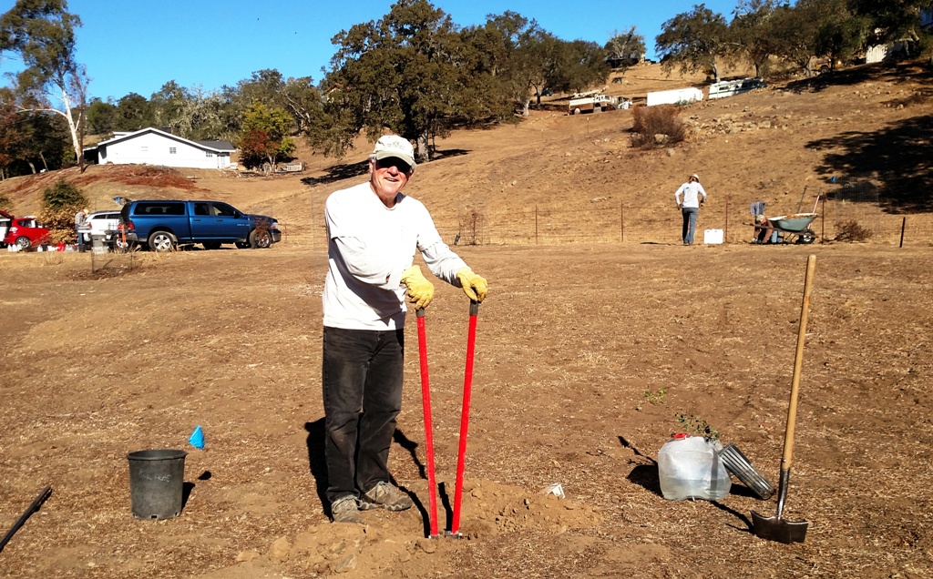 Bruce digging the hole for a live oak seedling