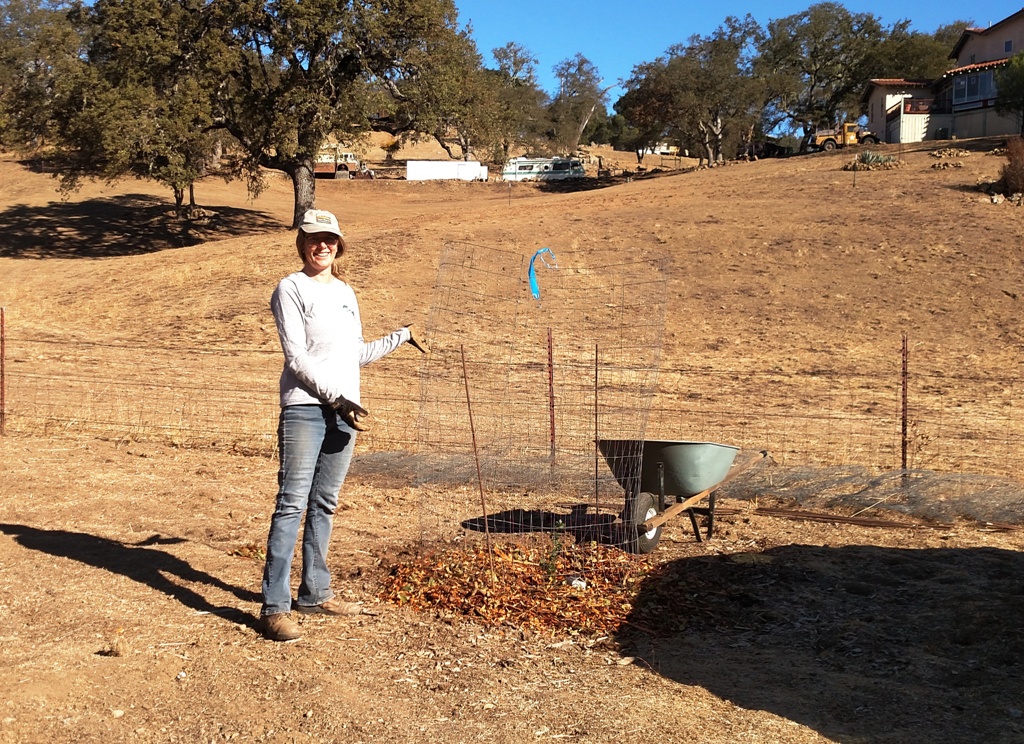 Meg finished planting a live oak seedling